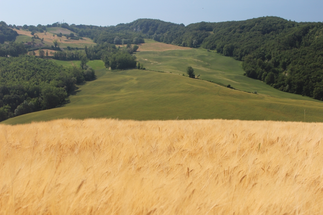 francolocation-country-italy